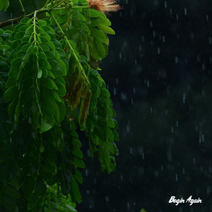 人与动物性交内射
