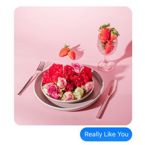 人与动物性交内射
