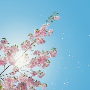 人与动物性交内射
