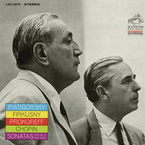 人与动物性交内射
